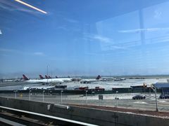 -约翰·菲茨杰拉德·肯尼迪国际机场