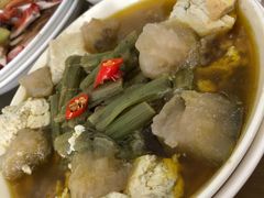 -品雅轩农家乐