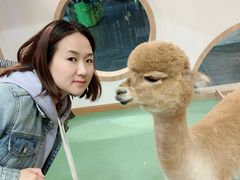 -藦茜花园宠物主题亲子互动体验馆(国顺东路店)