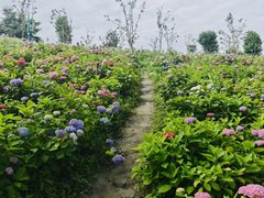 -成都中医药大学(温江校区)