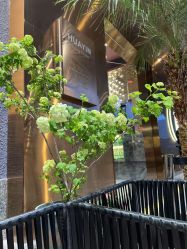 点击看大图 -花隐·美芙炫海菲秀皮肤管理中心