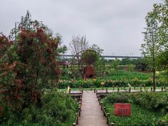 -那考河湿地公园