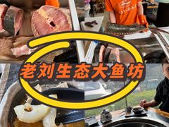 -老刘生态大鱼坊铁锅炖鱼(赛马场店)