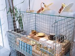 -Badmarket(庙前西街店)