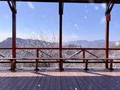 -大岭沟猕猴桃谷风景区