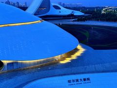 -哈尔滨大剧院
