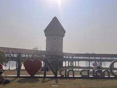 -九龙湖公园