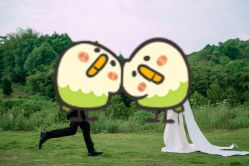 -金夫人婚纱摄影(总店)
