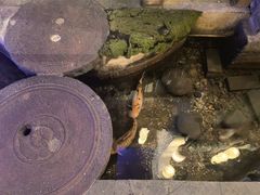 -淀里船宴(卓达店)