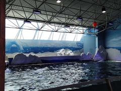 -秦皇岛乐岛海洋王国