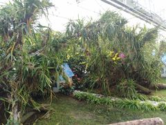 -兰陵国家农业公园