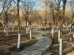 -西青郊野公园