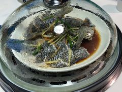-蔚海之都·象山蒸汽海鲜(仙霞路店)
