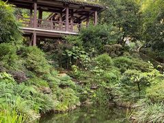 -南山植物园