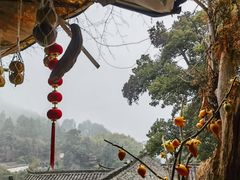 -杨家堂村