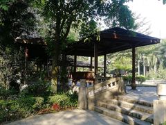 -滴水岩森林公园