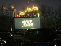 -枫花园汽车电影院(朝阳公园店)