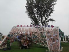 -荷兰花海