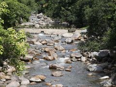 -海南热带雨林国家公园吊罗山景区