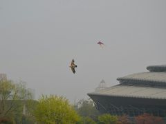 -杭州城北体育公园