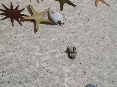 -福州罗源湾海洋世界旅游区