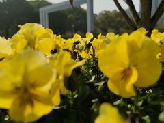 -同济大学(嘉定校区)