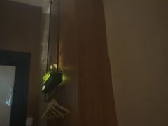 -新紫霞养生·影院足道·SPA(金山区店)