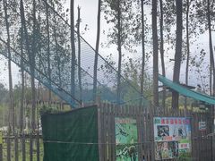 -佛手湖郊野公园
