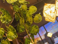 -云海肴·汽锅鸡·云南代表菜(天津国金汇店)
