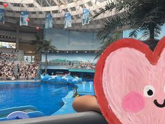 -海合安成都极地海洋公园