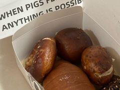 -WHEN PIGS FLY当猪飞