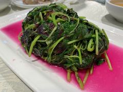 炒苋菜-丁老爷子苏香圆