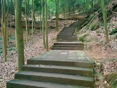 -凤栖山