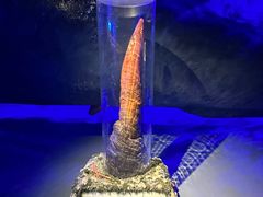 -厦门海底世界