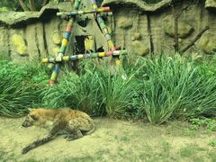 -北京野生动物园