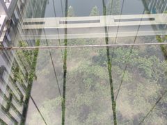 -石燕湖生态旅游景区