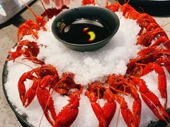 冰镇龙虾-一棠龙虾(徐家汇城开YOYO店)