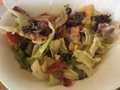 -辛德勒啤酒德餐厅