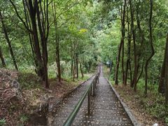 -神光山国家森林公园