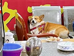 -鹿福农庄(南沙天后宫店)