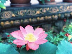 -古大圣慈寺
