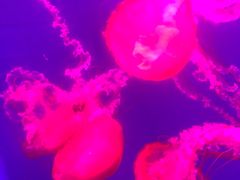 -多彩贵州城极地海洋世界