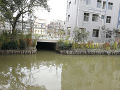 -黄埔古港