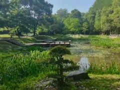 -东湖落雁景区