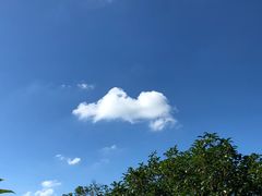 -东方绿舟景区