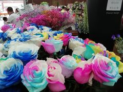 -荷兰花海