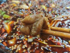 特色肥肠-烧哥美蛙肥肠鱼火锅·十五年社区店