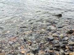 -泊石湾海滨浴场