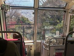 -神户市立六甲山牧场