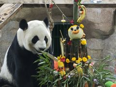 -无锡动物园·太湖欢乐园